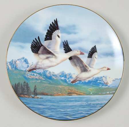 Birds of The North Winter Wings: Snow Geese - Boxed