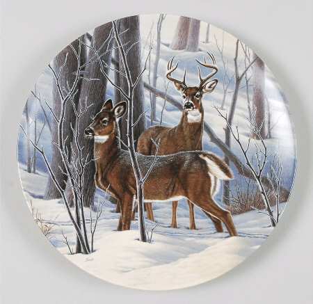 Portraits of the Wild Ready:White-Tailed Deer - No Box