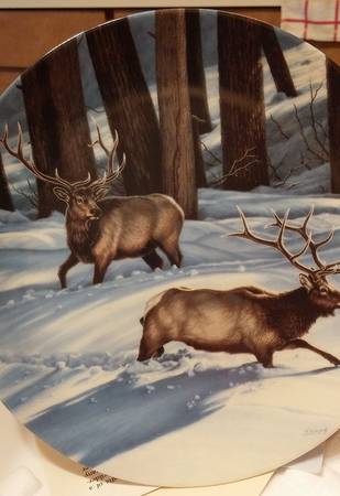 Portraits of the Wild Changing Direction: Elk - No Box