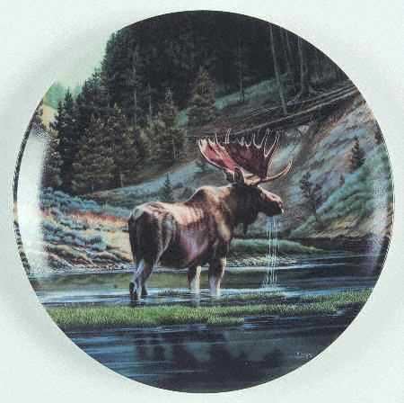 Wild & Free:Canada's Big Game The Moose - Boxed