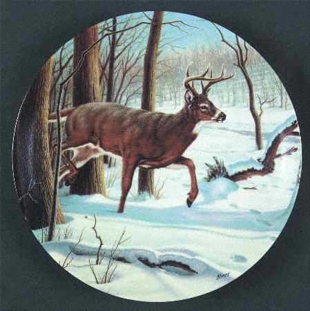 Wild & Free:Canada's Big Game The White-Tailed Deer - No Box
