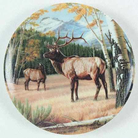 Wild & Free:Canada's Big Game The Elk - Boxed