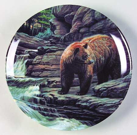 Wild & Free:Canada's Big Game The Cinnamon Bear - Boxed