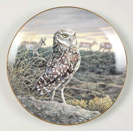 Owls of North America Twilight Defender - No Box