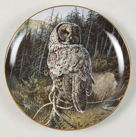 Owls of North America Woodland Warrior - No Box