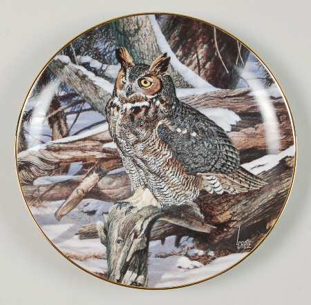 Owls of North America Winter Watch - No Box