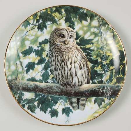 Owls of North America Shady Retreat - No Box