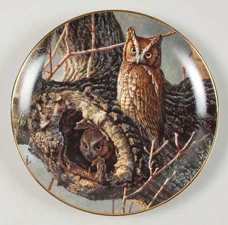 Owls of North America Proud Vigil - No Box
