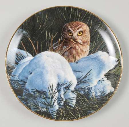 Owls of North America Snowy Dawn - No Box