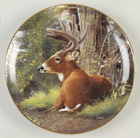 Pride of The Wilderness Summer Velvet - No Box