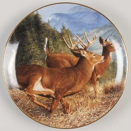 Pride of The Wilderness Summer Flight - No Box