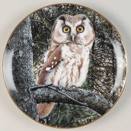 Majesty of Owls Night Watchman - No Box