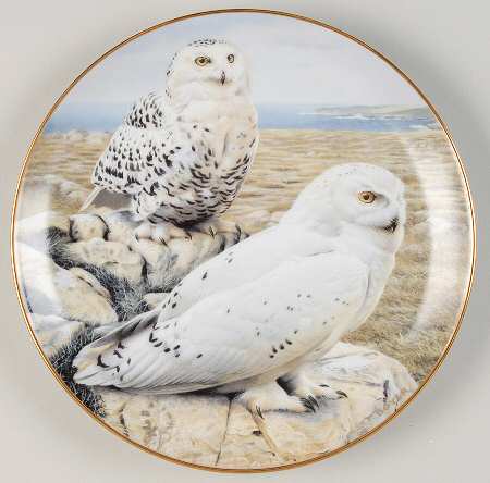 Majesty of Owls Arctic Royalty - No Box