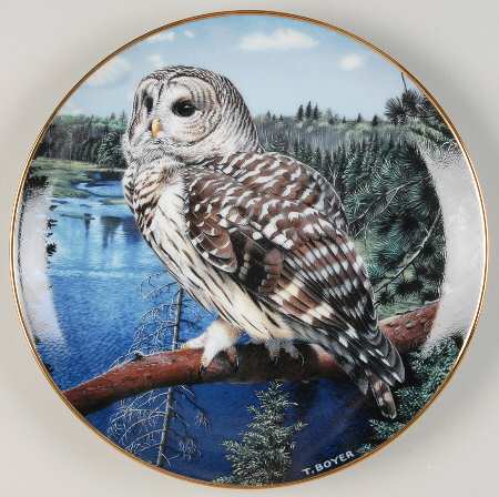 Majesty of Owls On The Lookout - No Box