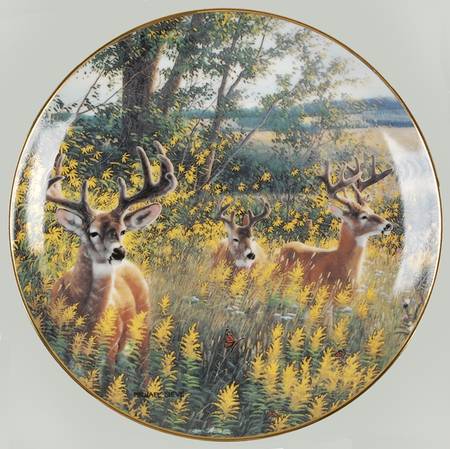 Wonders of Wilderness by Danbury Mint