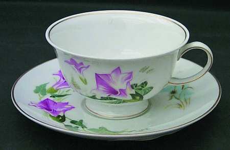 Wildflowers of America Cup & Saucer Morning Glory - No Box