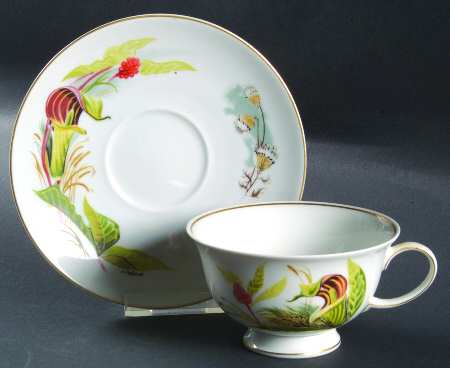 Wildflowers of America Cup & Saucer Jack-In-The-Pulpit - No Box