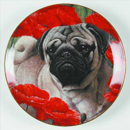 Pugs Poppy Love - No Box
