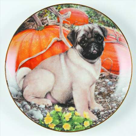 Pugs Pumpkin Patch Pug - No Box