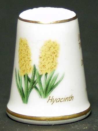 Garden of Verses Hyacinth - No Box