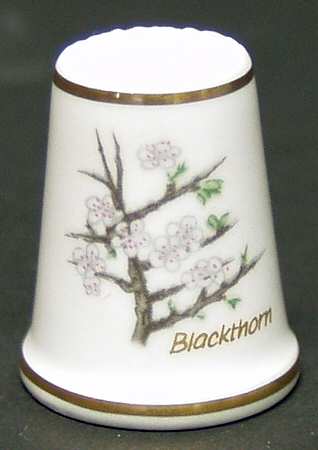 Garden of Verses Blackthorn - Boxed