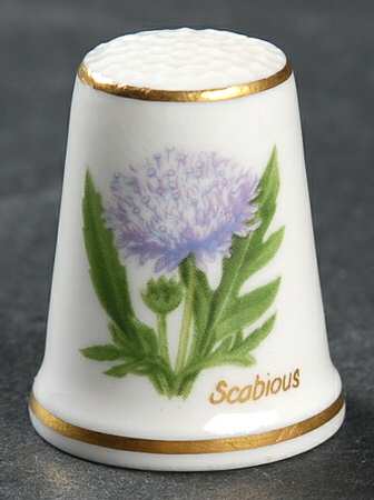 Garden of Verses Scabious - Boxed