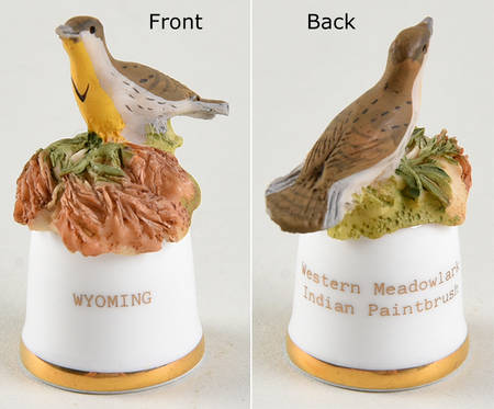 Birds and Flowers of the 50 States Western Meadowlark/Indian Paintbrush - No Box