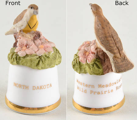 Birds and Flowers of the 50 States Western Meadowlark/Wild Prairie Rose - No Box