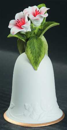 American Flower Bell Azalea - No Box