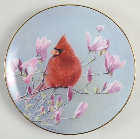 Cardinals for All Seasons Morning Light - No Box