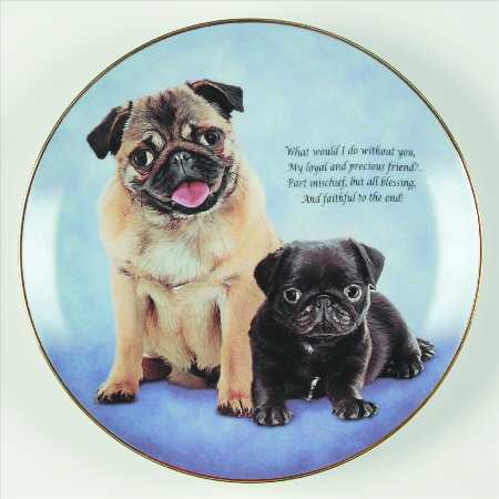 Devoted Pugs Loyal And Precious - No Box