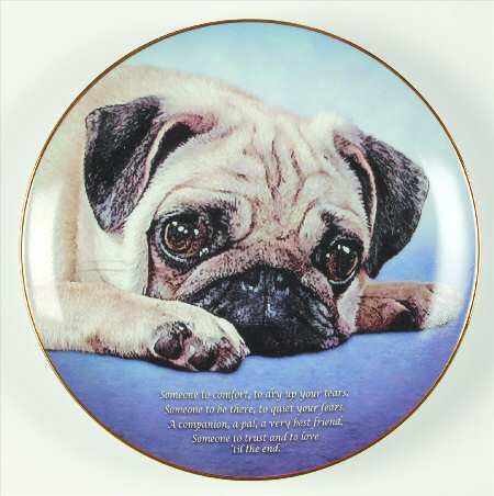 Devoted Pugs Someone To Comfort - No Box