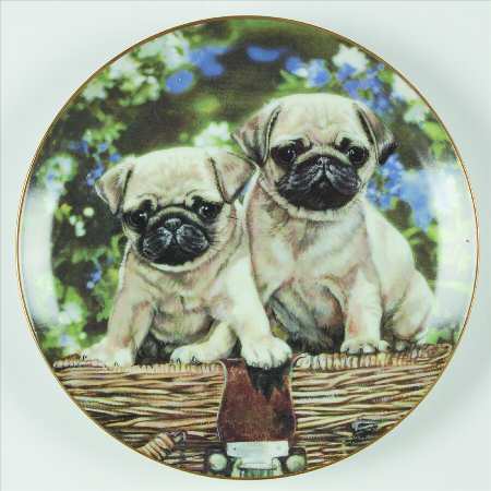 Pug Family Picnic Pups - No Box