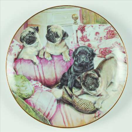 Pug Family Rise And Shine - No Box