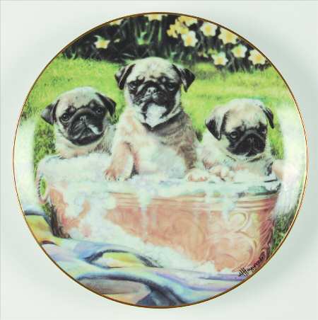 Pug Family Bathtime Buddies - No Box