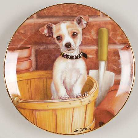 Chihuahuas Little Gardener - No Box
