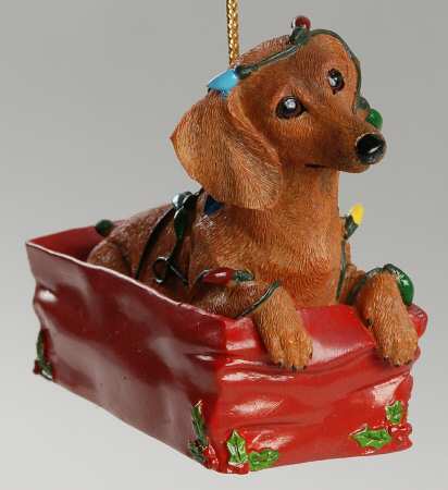 Delightful Dachsunds Lit Up With Mischief - No Box
