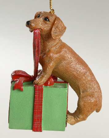 Delightful Dachsunds All Wrapped Up - No Box