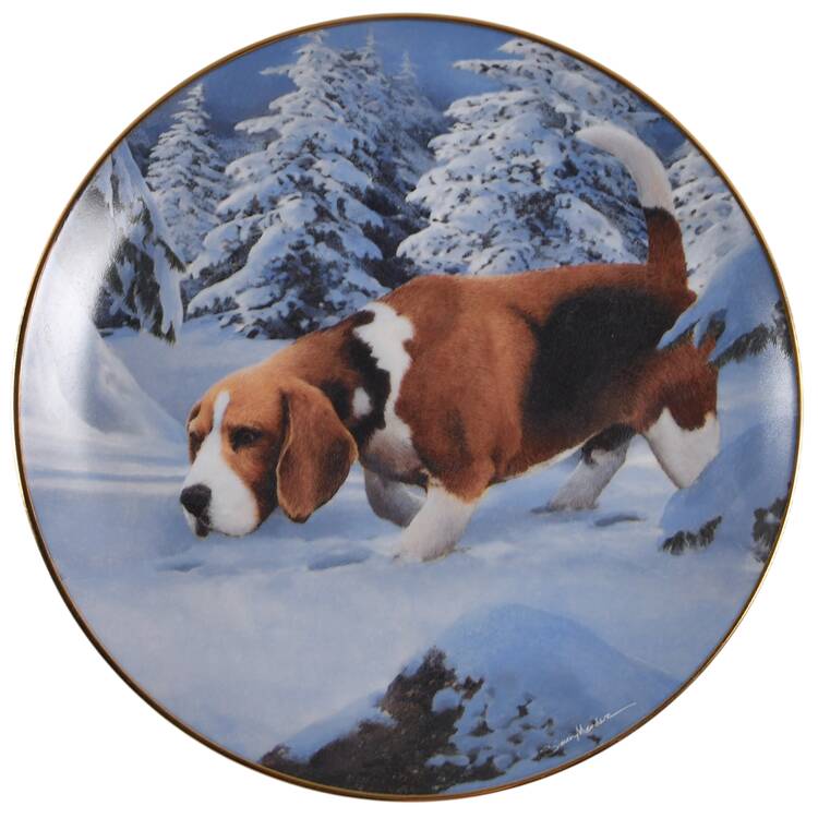 Beagles On The Trail - No Box