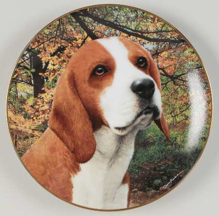 Beagles Loving Eyes - No Box