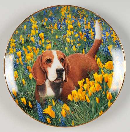 Beagles Field Trip - No Box
