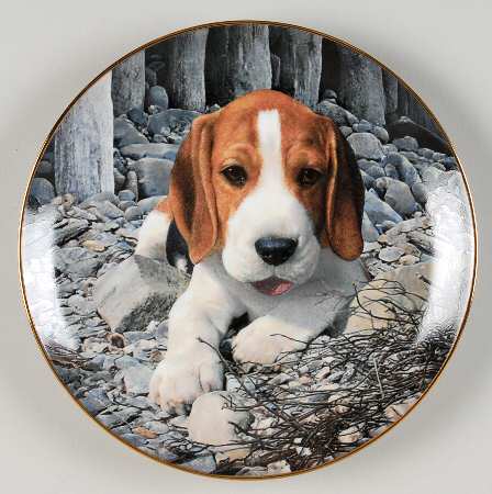 Beagles Beagle Baby - No Box