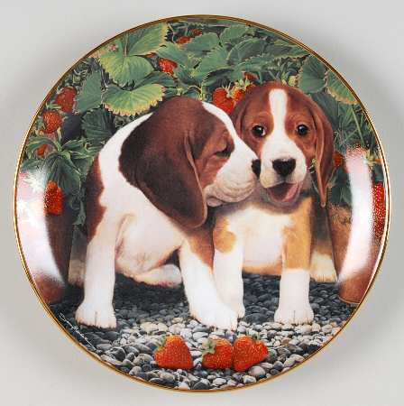 Beagles Berry Sweet - No Box