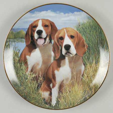 Beagles Eager Beagles - No Box