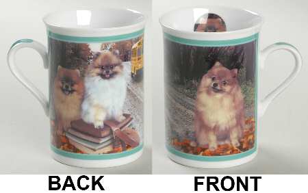 Purely Pomeranian School Days - No Box