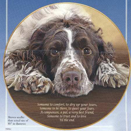 Cherished Springer Spaniels Someone To Comfort - No Box