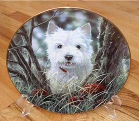 West Highland Terriers Hide And Seek - No Box