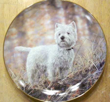 West Highland Terriers In The Woods - No Box