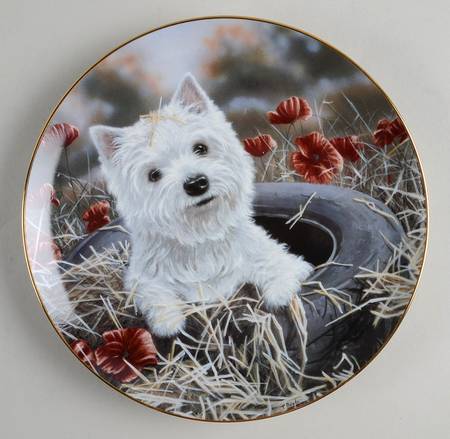 West Highland Terriers Tired Out - No Box