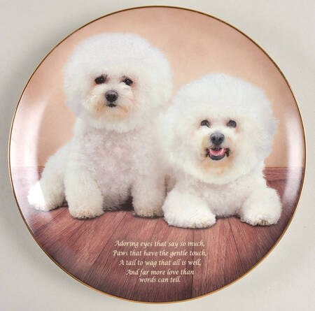 Cherished Bichons Adoring Eyes - No Box
